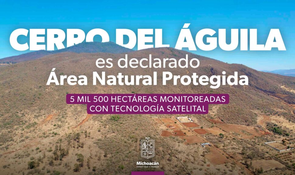 Publica Gobierno de Michoacán decreto de área natural protegida al Cerro  del Águila | RED Michoacán